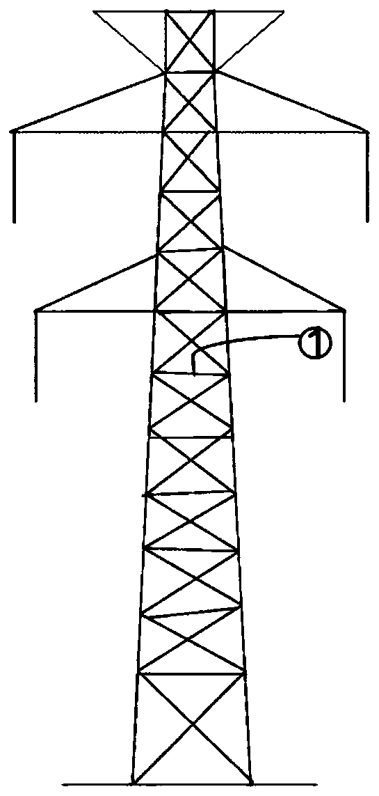 Bird flight track prediction method suitable for high-voltage tower
