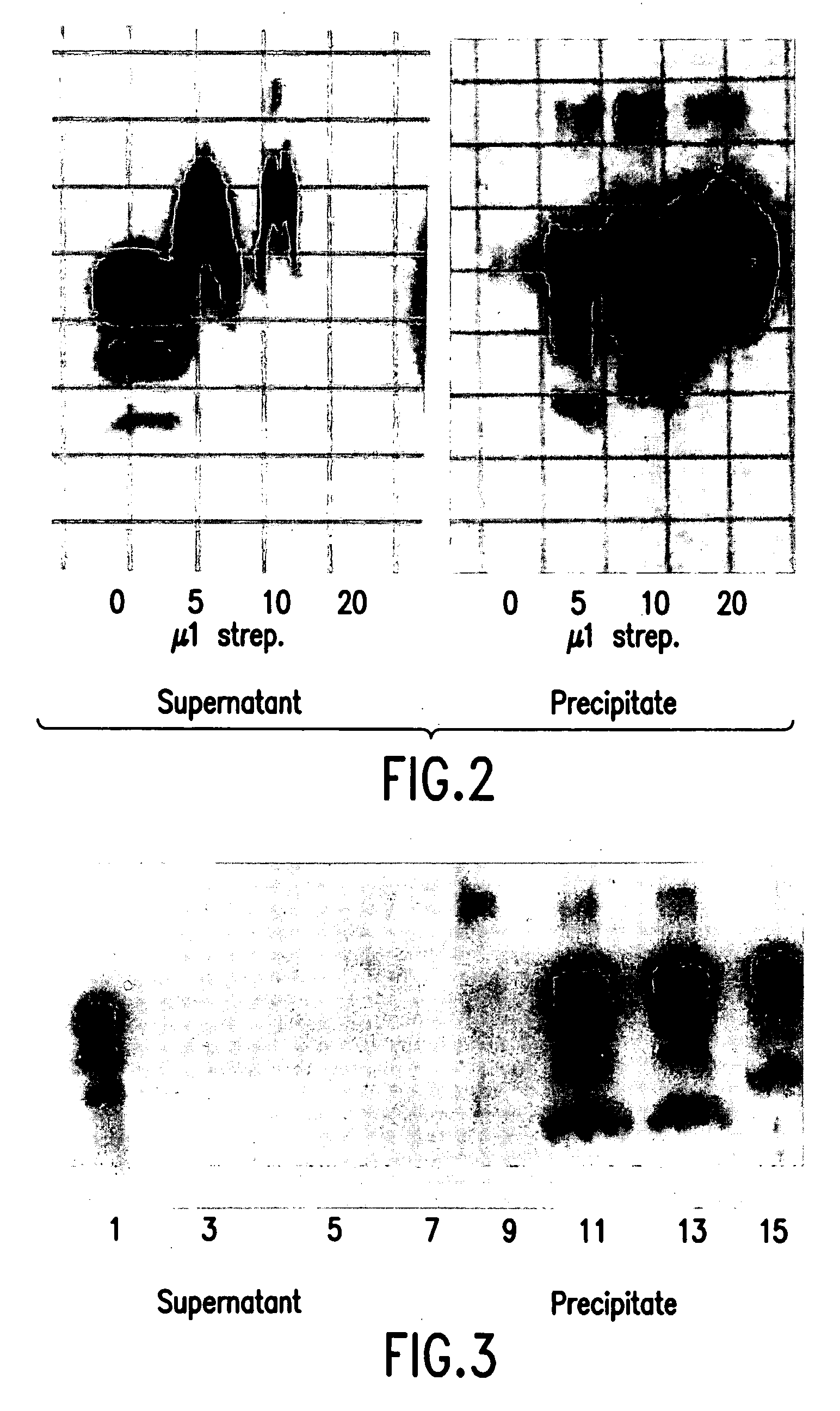 Process for detecting PRPsc using an antibiotic from the family of aminoglycosides