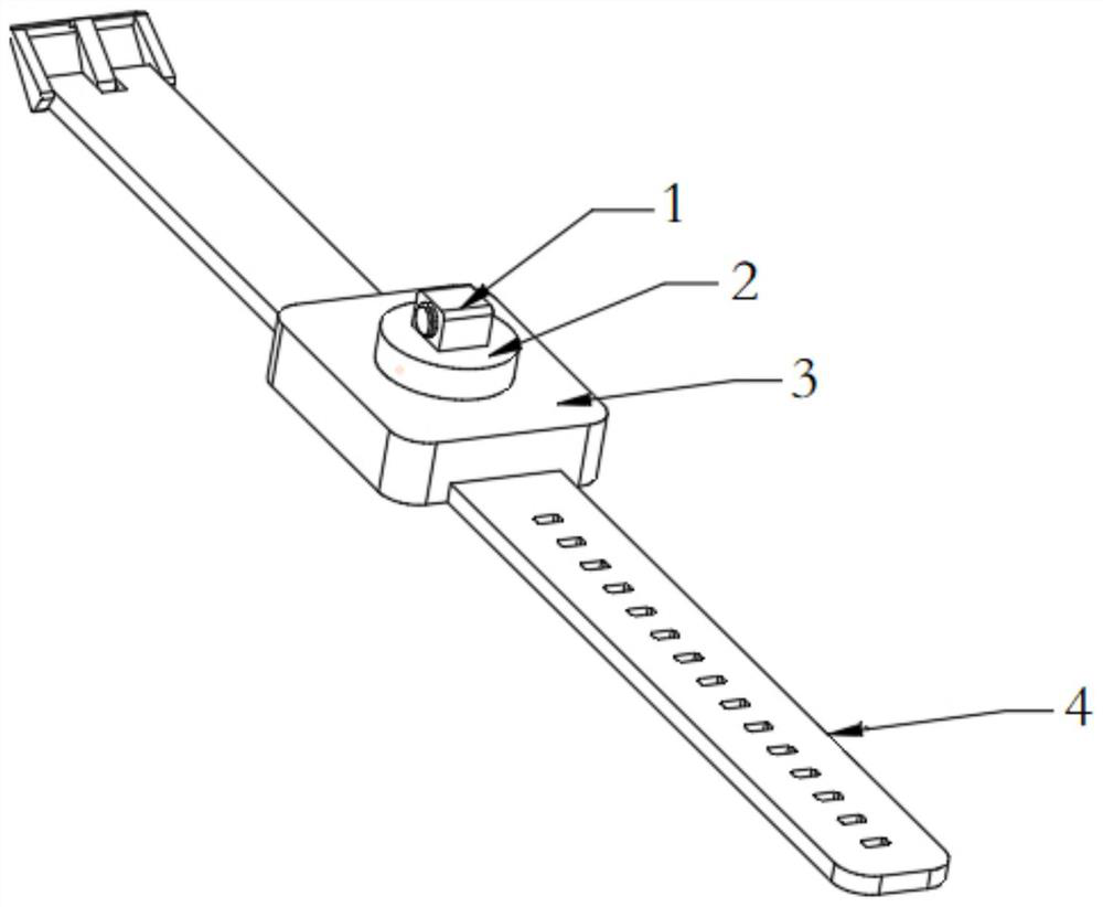 Electronic equipment and projection method