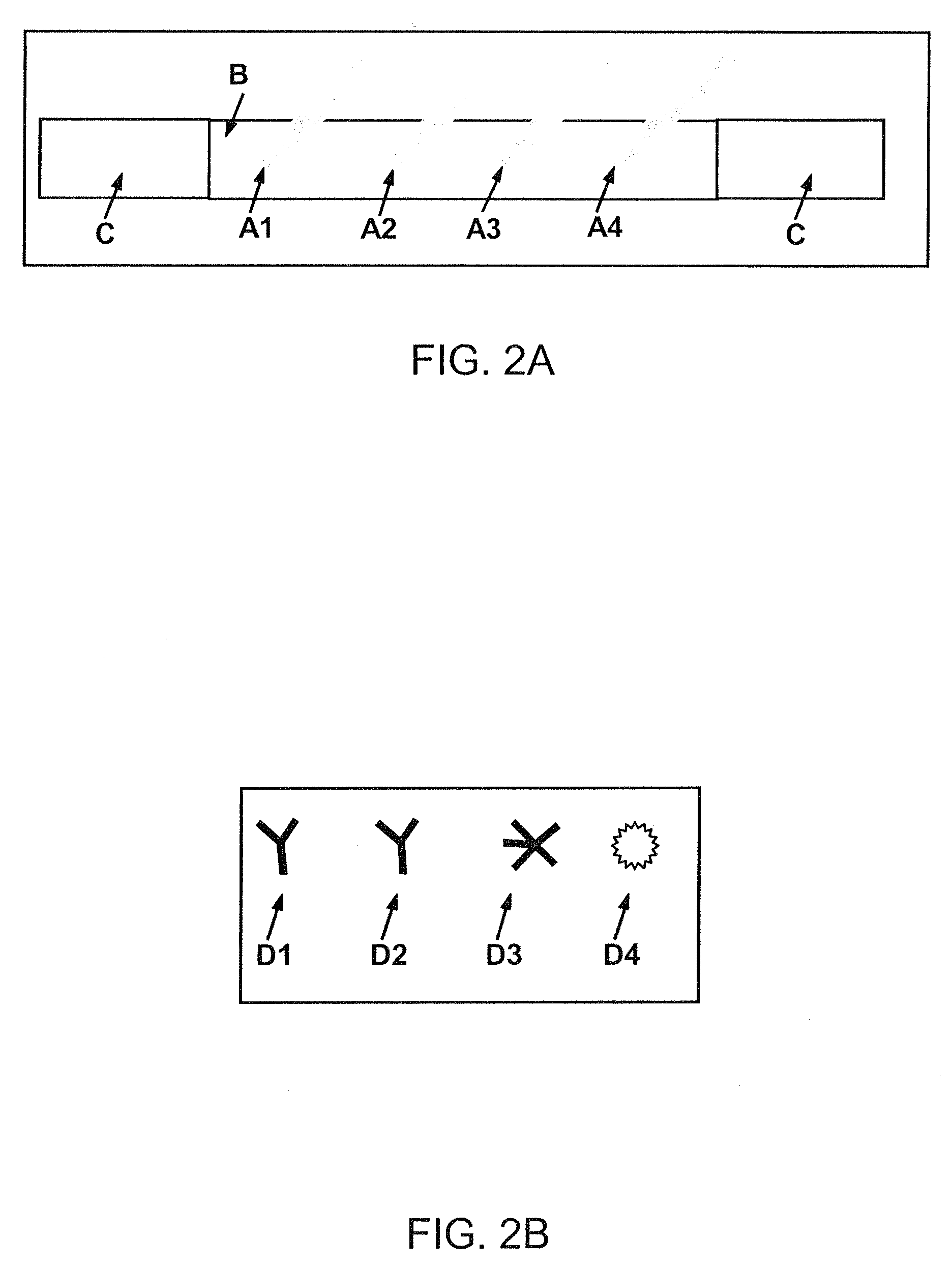 Linear nucleic acid and sequence therefor