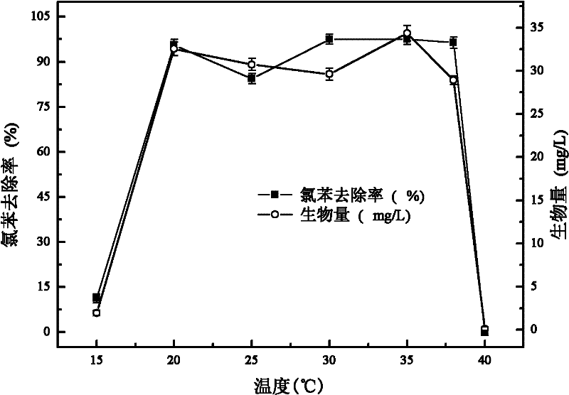 Ralstoniapickettii H2 with chlorobenzene degrability and applications thereof