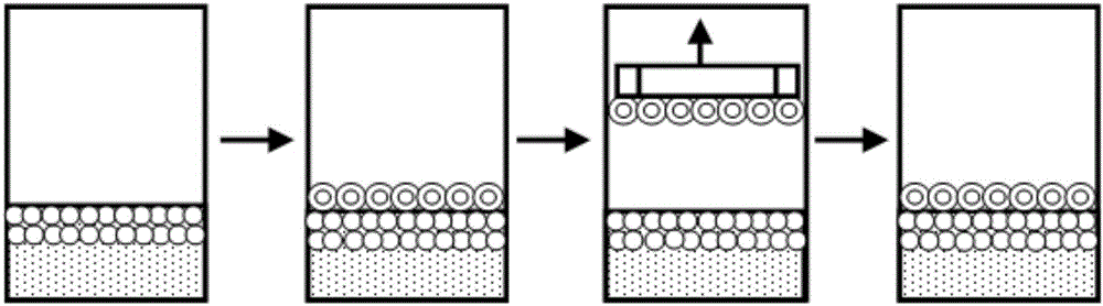 In-situ combination method used for sediment nitrogen and phosphorus release control