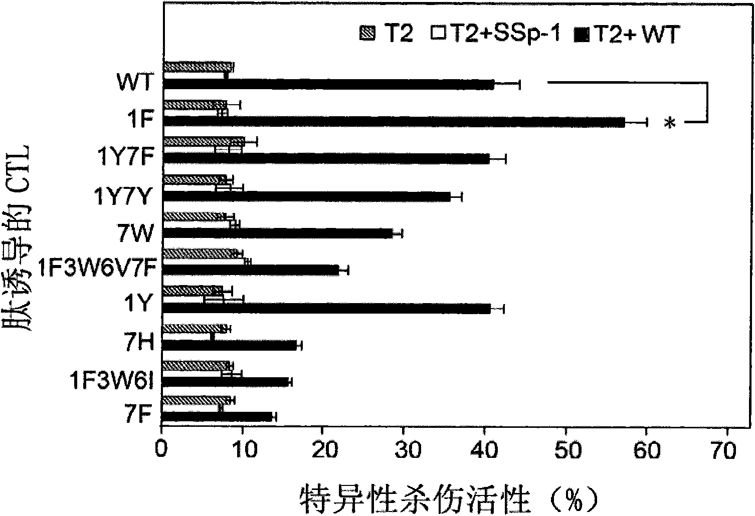 Novel human leukocyte antigen (HLA)-A2 limiting epitope polypeptide and use thereof