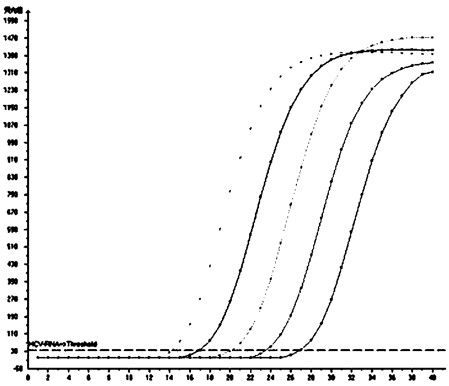 Method for extracting purified Tth DNA polymerases