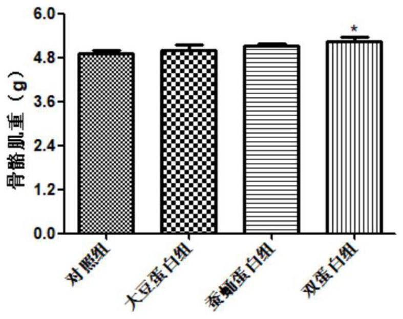 Insect and plant double-protein high-dietary-fiber meal replacement powder and preparation method thereof