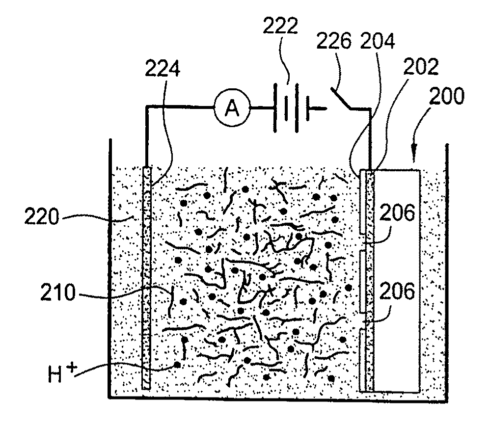 System and Method for Directed Self-Assembly Technique for the Creation of Carbon Nanotube Sensors and Bio-Fuel Cells on Single Plane