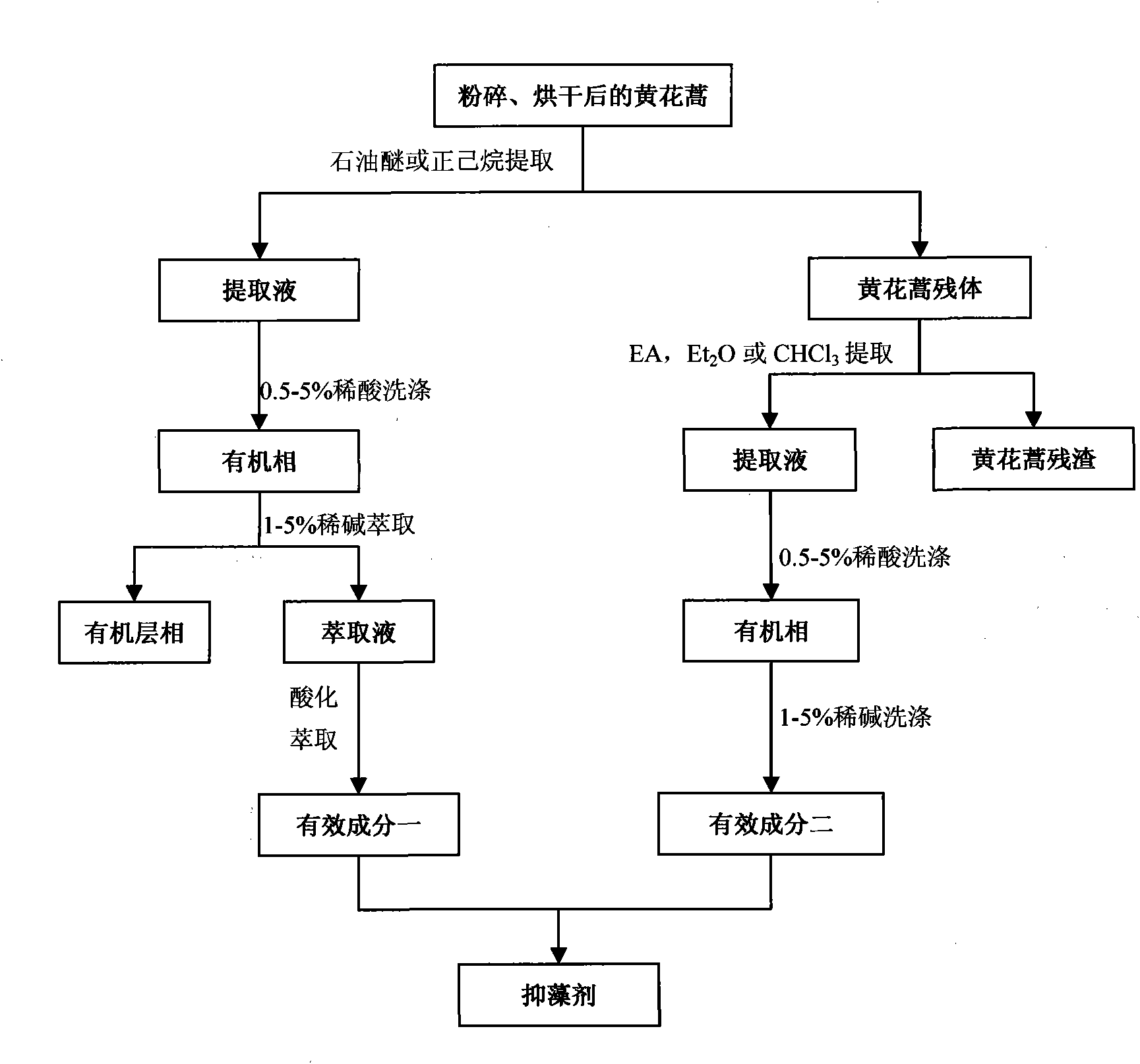 Method for extracting alga-inhibiting active ingredients from Artemisia annua L. and alga-inhibiting method