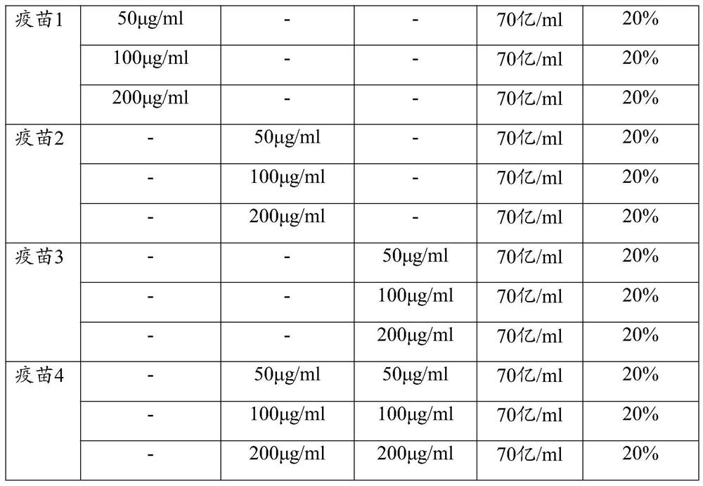 Protective antigen protein of porcine toxigenic pasteurella multocida as well as application and vaccine of protective antigen protein