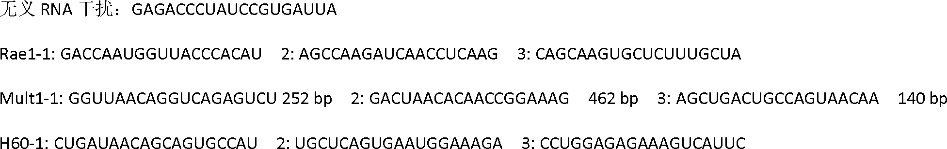 RNA interference vector capable of simultaneously silencing multiple ligands of NKG2D, and construction method and application thereof