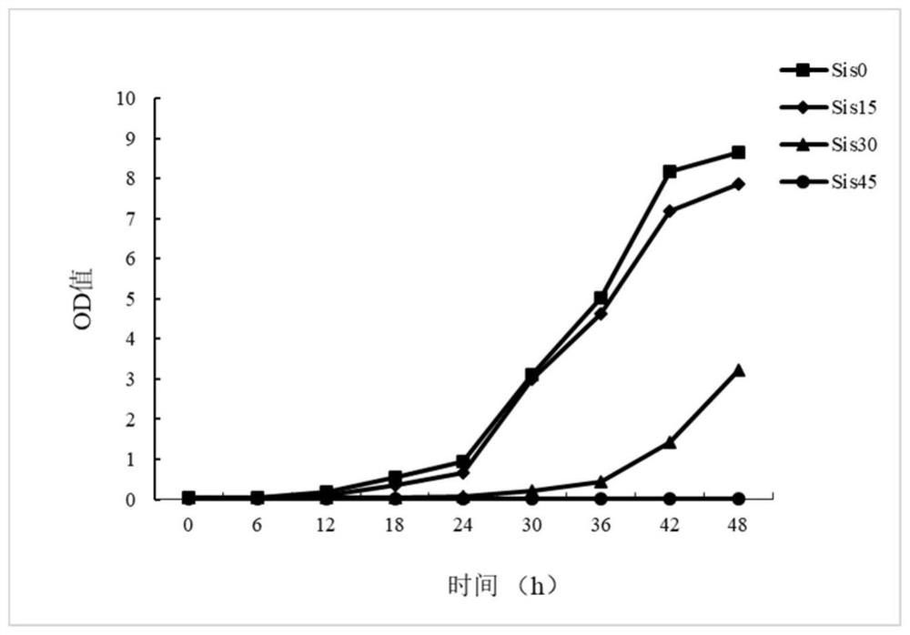 A method for improving sugarcane resistance to smut