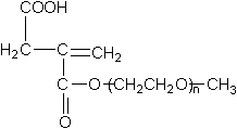 A polycar carboxylic acid system polymer water reduction agent and its preparation method