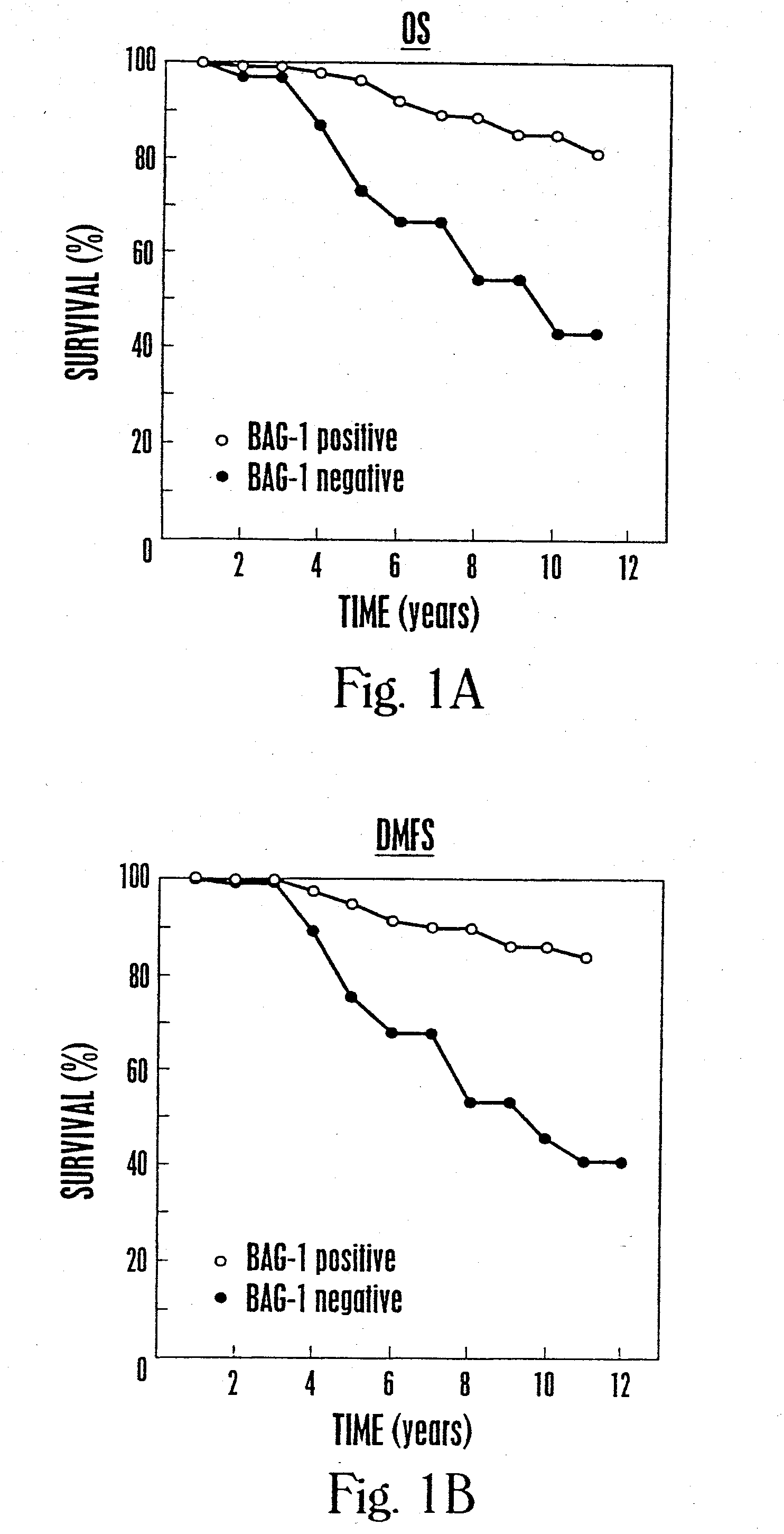 Method for determining the prognosis of cancer patients by measuring levels of bag expression