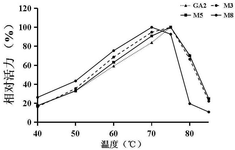 Glucamylase mutant M5 with increased secretory expression quantity as well as gene and application thereof