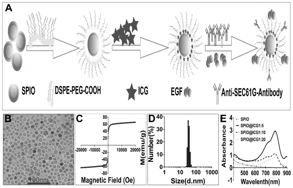 A dual-target multimodal molecular imaging probe and its preparation method and application