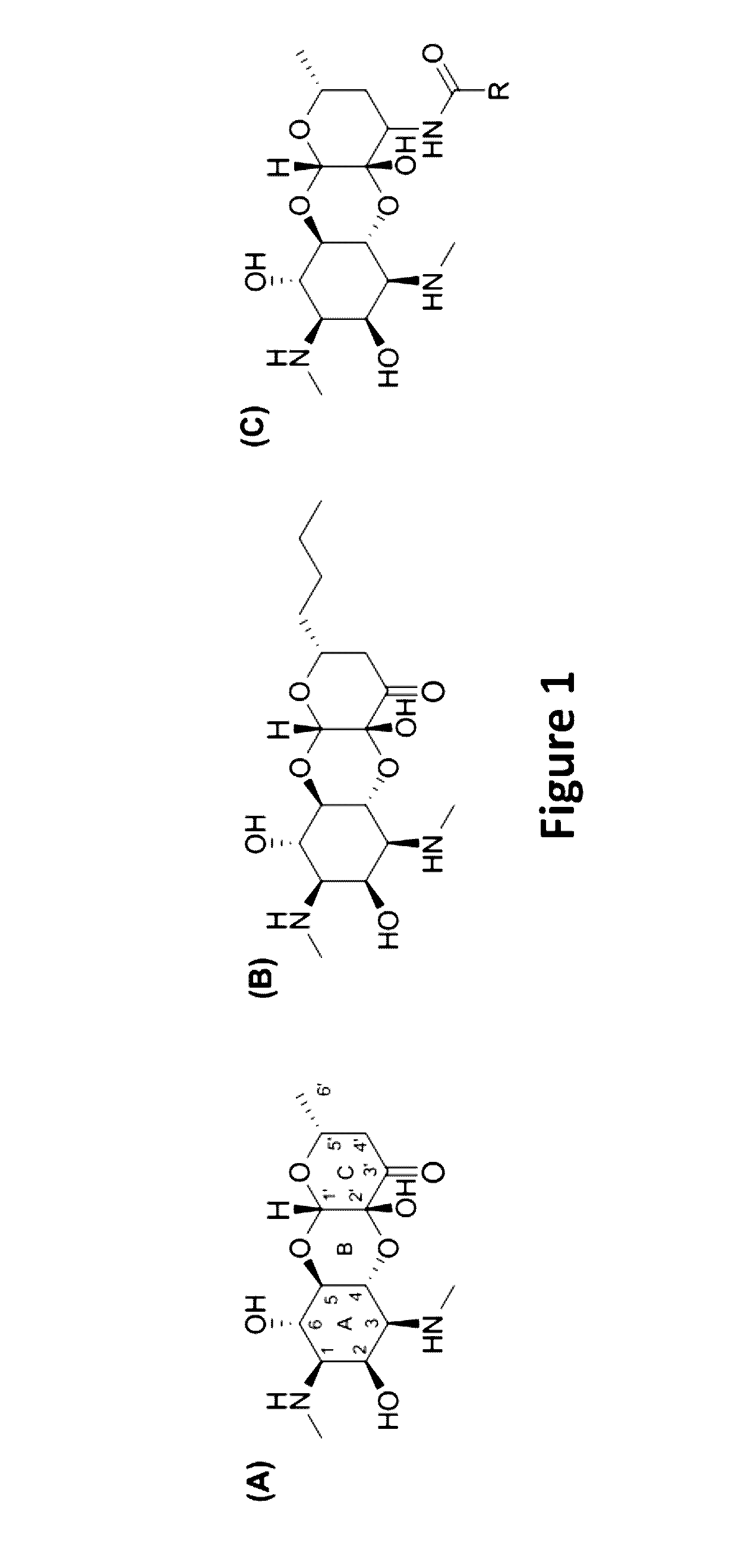 Aryl substituted aminomethyl spectinomycin analogs as antibacterial agents