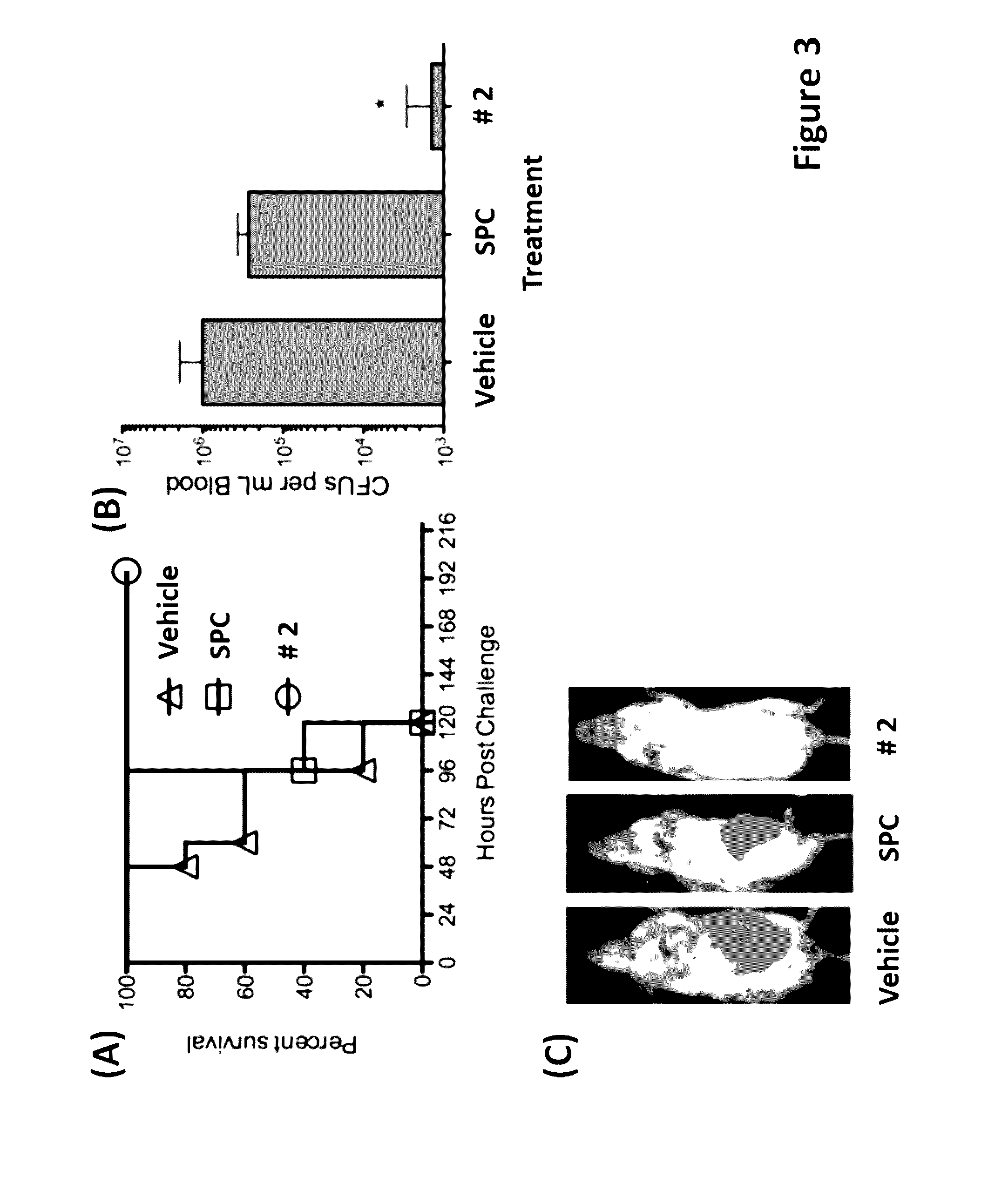 Aryl substituted aminomethyl spectinomycin analogs as antibacterial agents