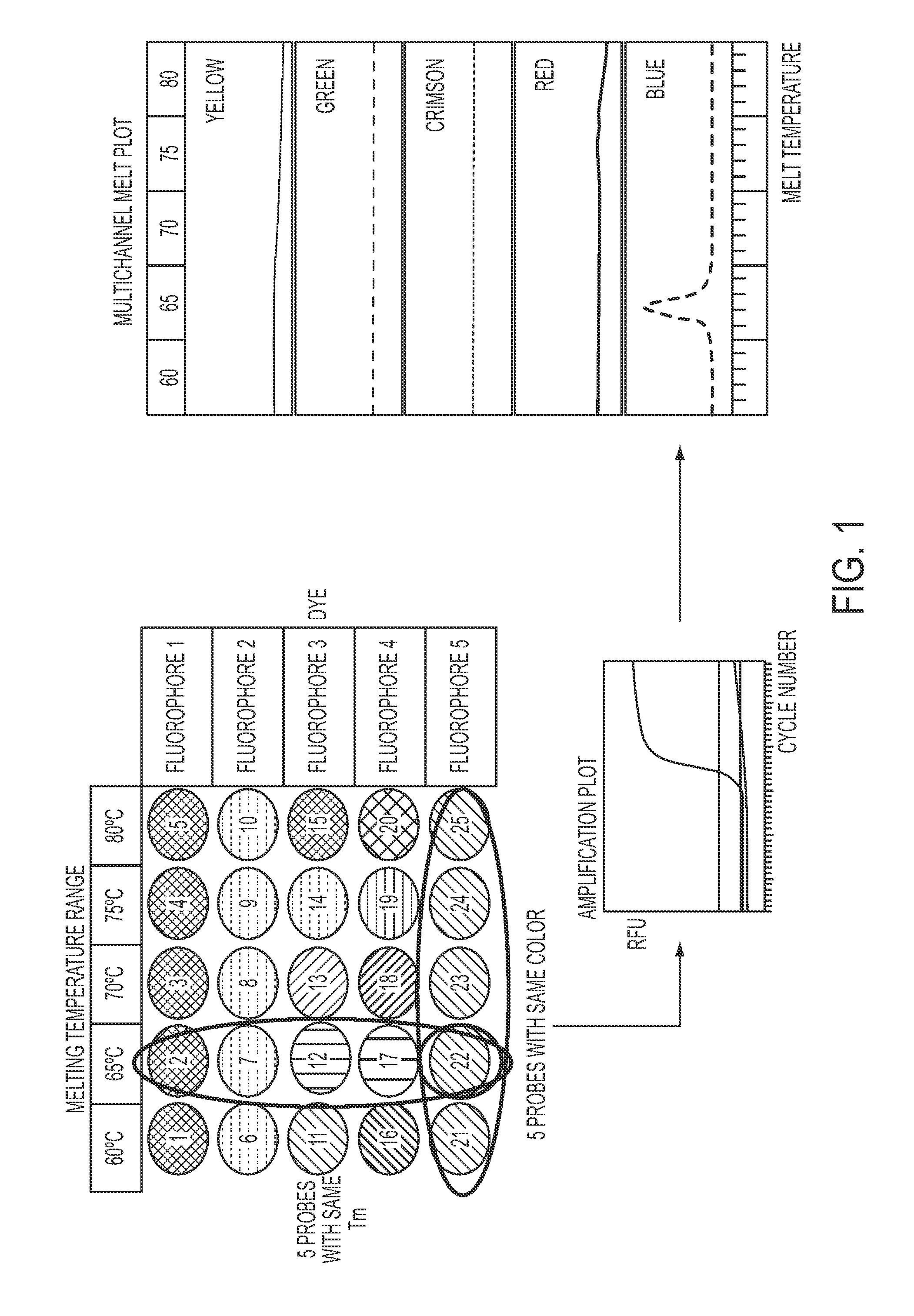 Methods and compositions for sequence-specific purification and multiplex analysis of nucleic acids