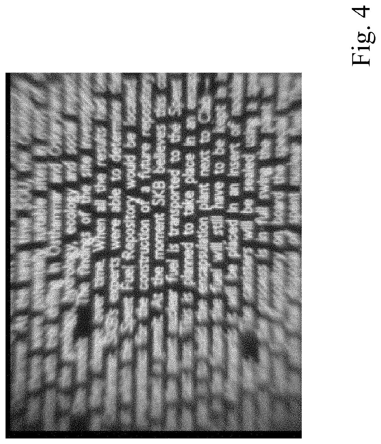 Method for Long-Term Storage of Information and Storage Medium Therefor