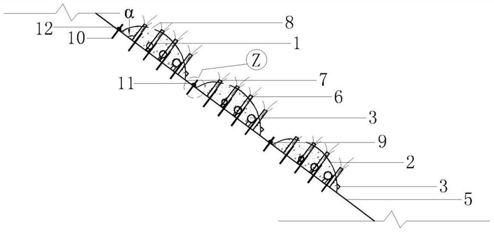 A kind of perforated mould bag concrete ecological bank protection structure and construction method