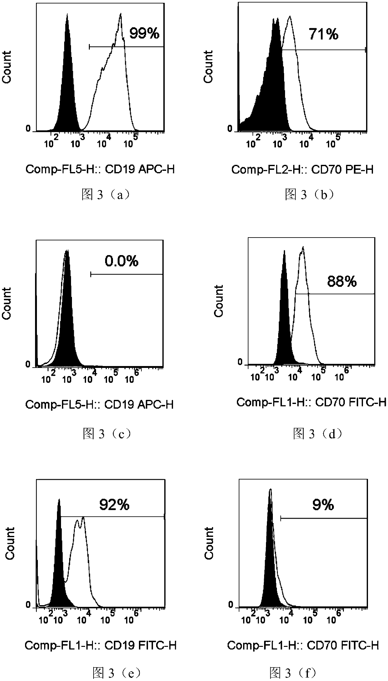 Immunocompetent cells modified by dual chimeric antigen receptor genes based on CD19 and CD70 and application thereof