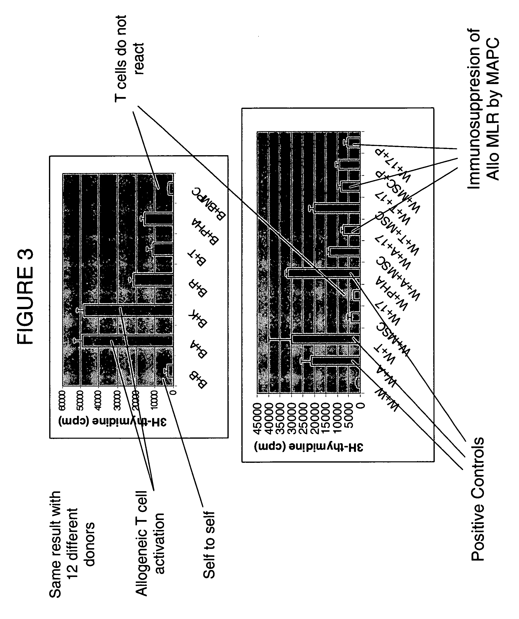 Immunomodulatory properties of multipotent adult progenitor cells and uses thereof