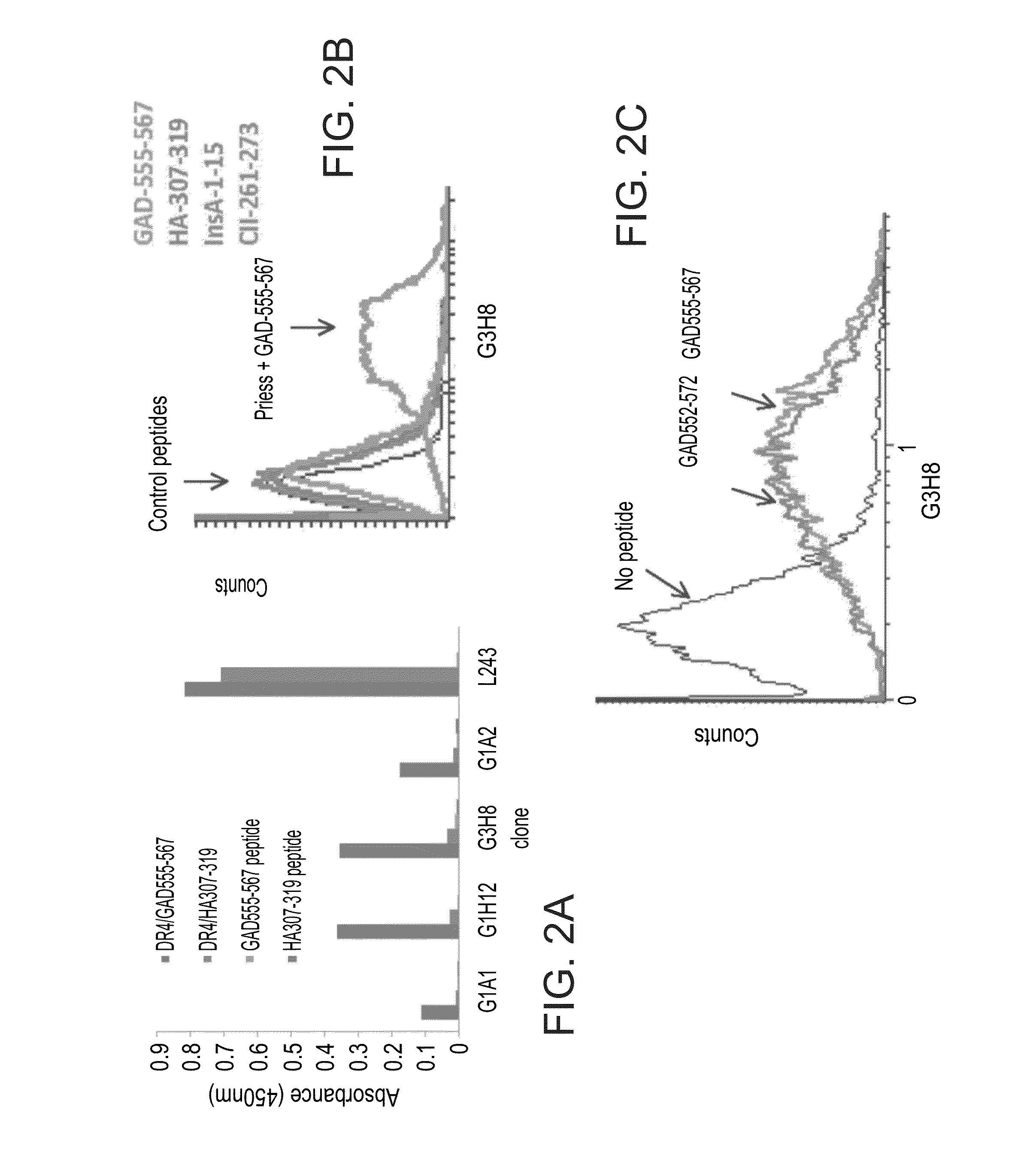 Antibodies with t-cell receptor like specificity towards native complexes of mhc class ii and diabetes-associated autoantigenic peptides