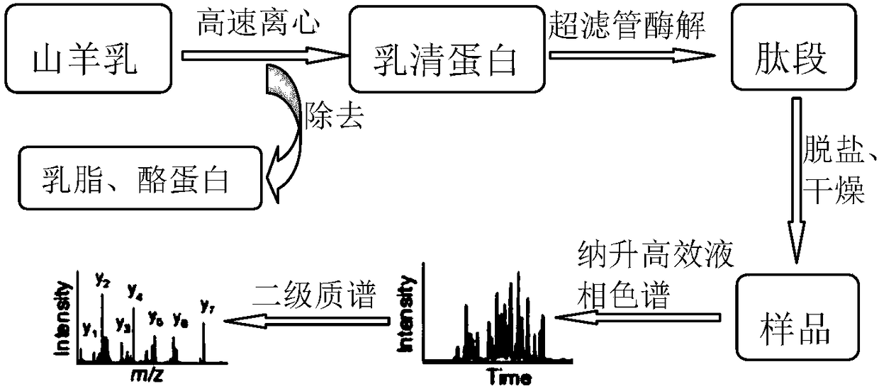 Treatment method for goat milk whey protein for studying proteomics