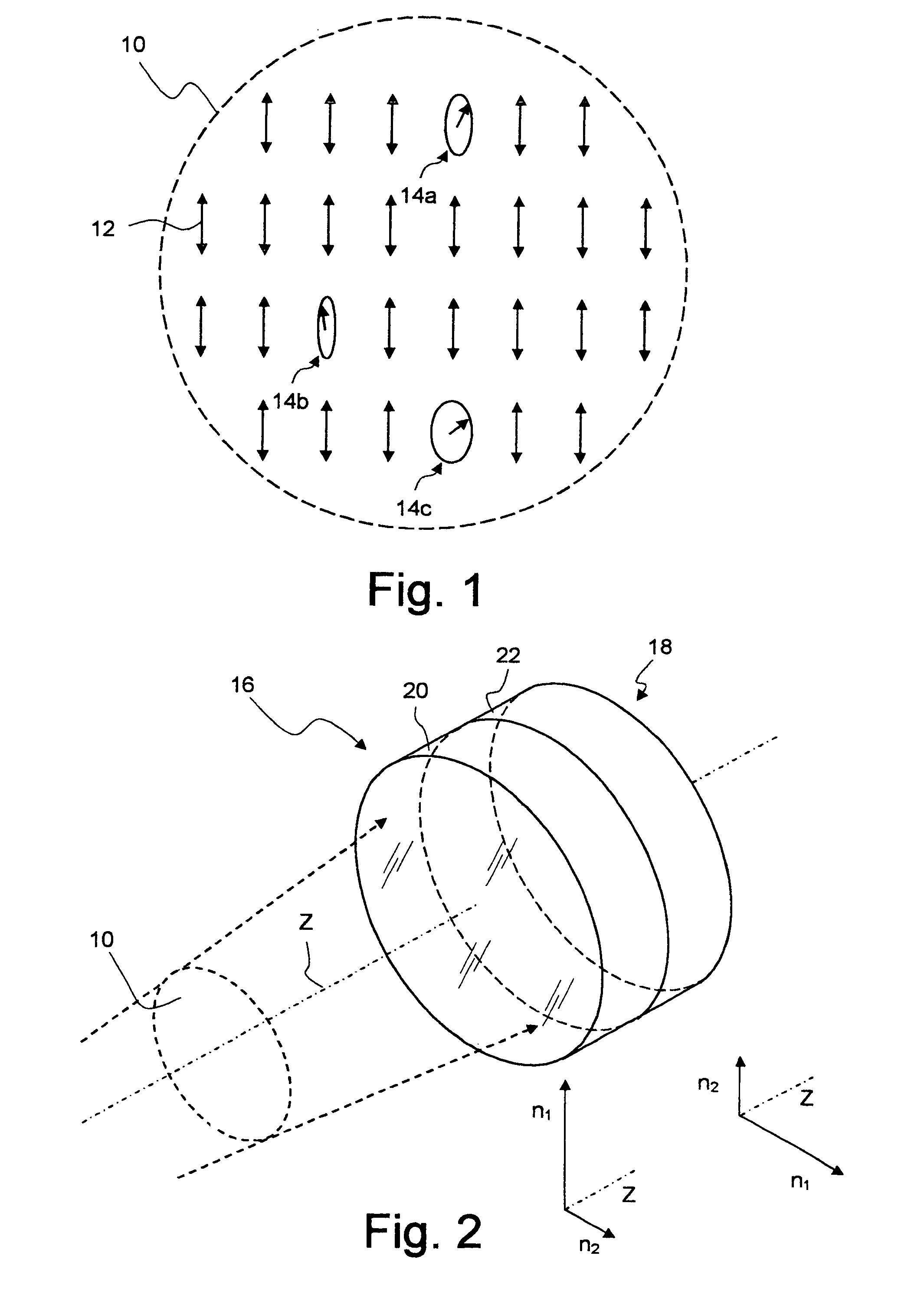 Correcting device to compensate for polarization distribution perturbations