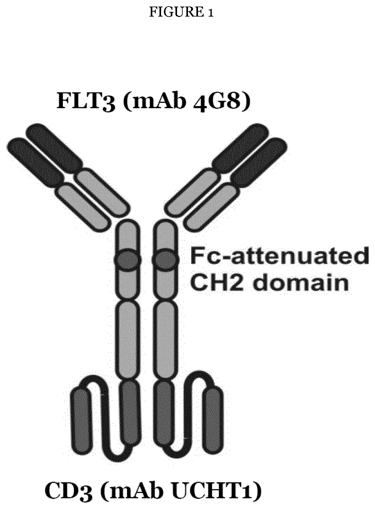 Improved Anti-FLT3 Antigen Binding Proteins