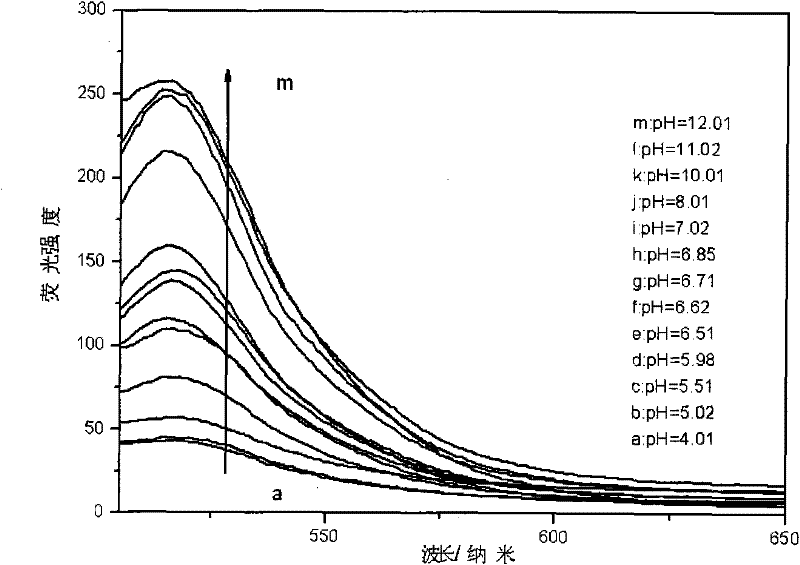 Optical pH sensor of fluorescein and sodium heptanesulfonate intercalated layered double hydroxide and preparation method thereof