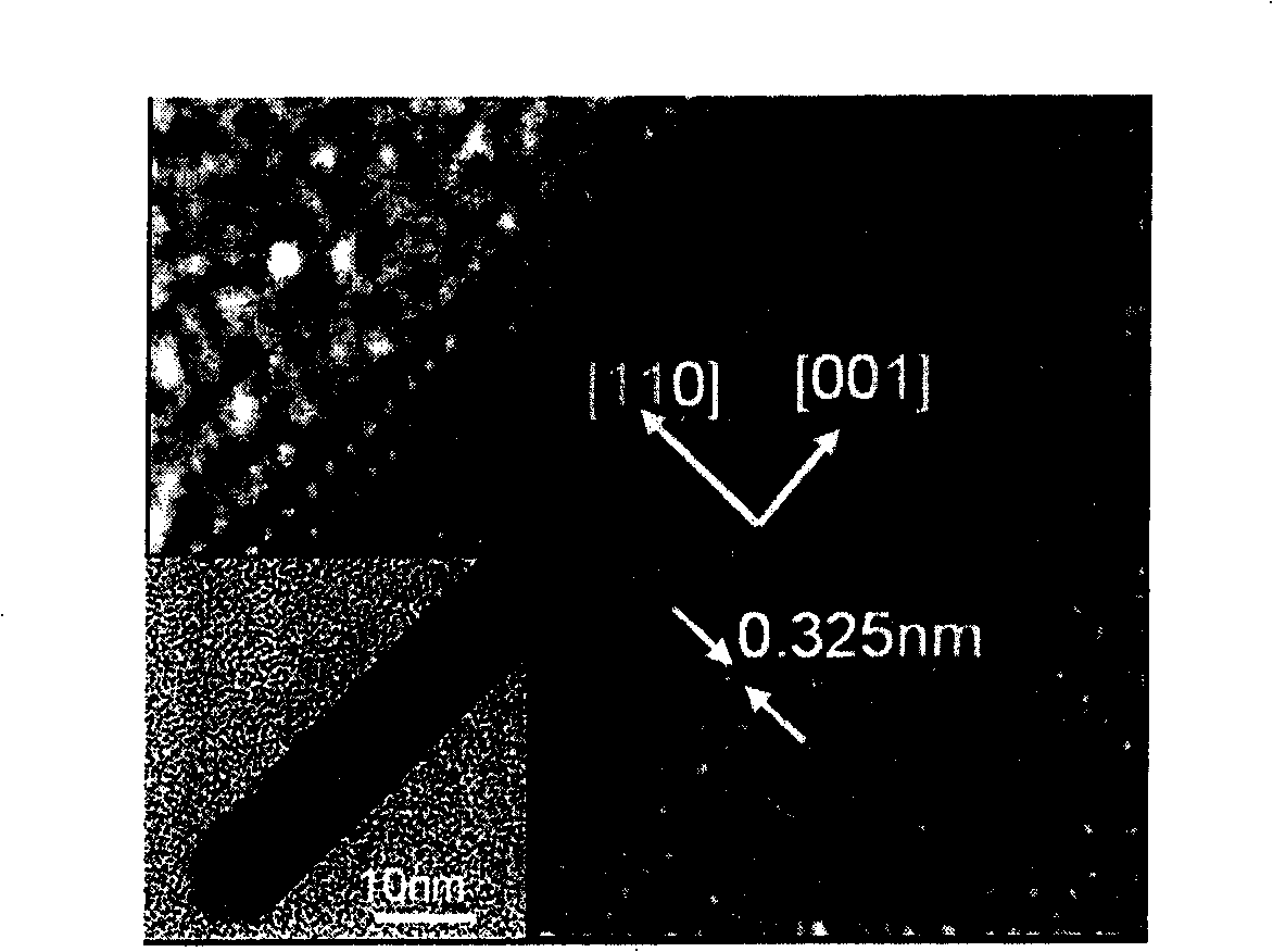 Microsphere of titanium dioxide in dandelion shape, and prepartion method