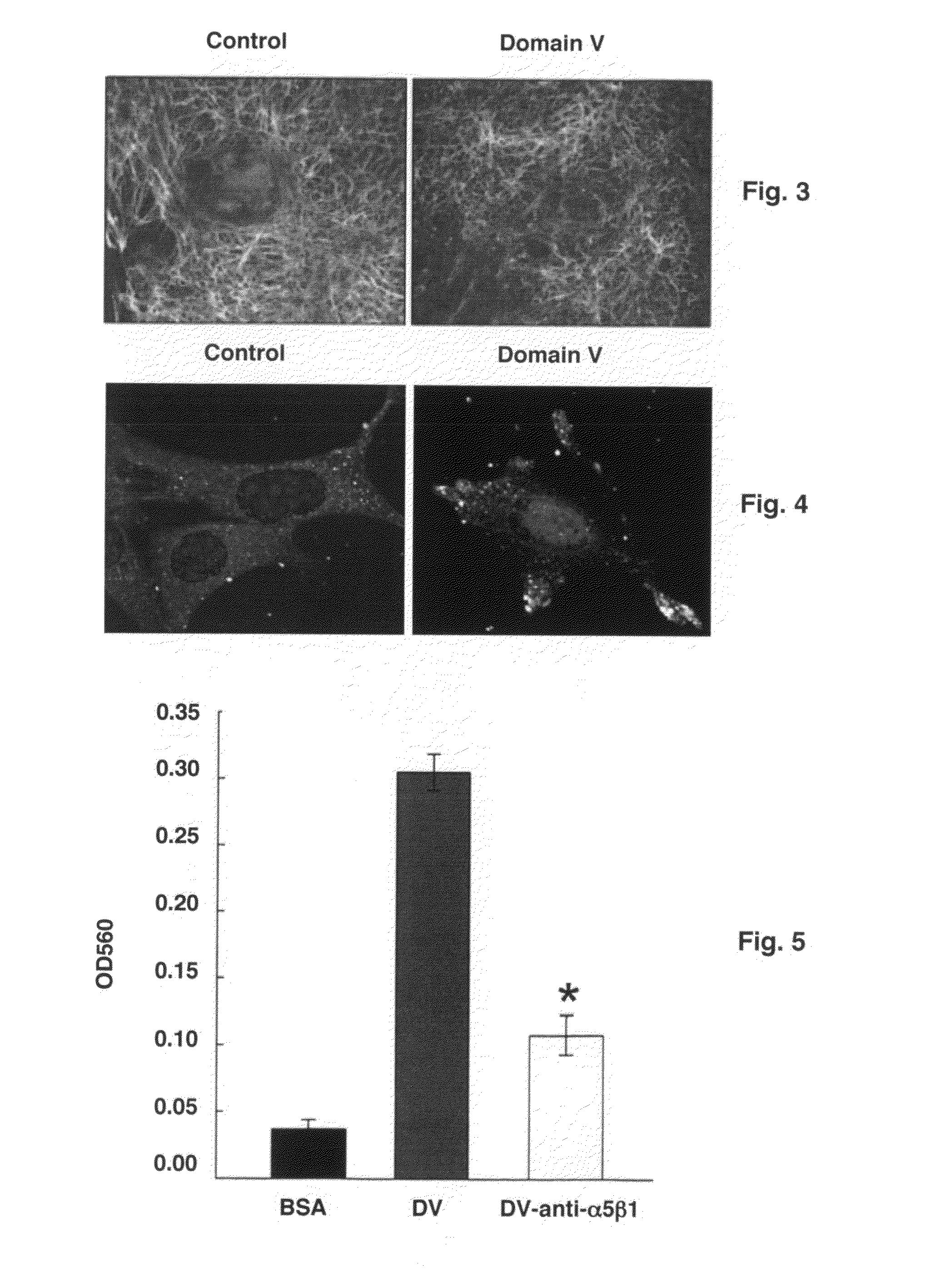 Stroke-generated angiogenesis enhancers and uses thereof