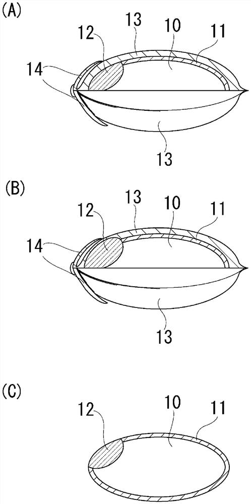 Fine pounding method of rice grains