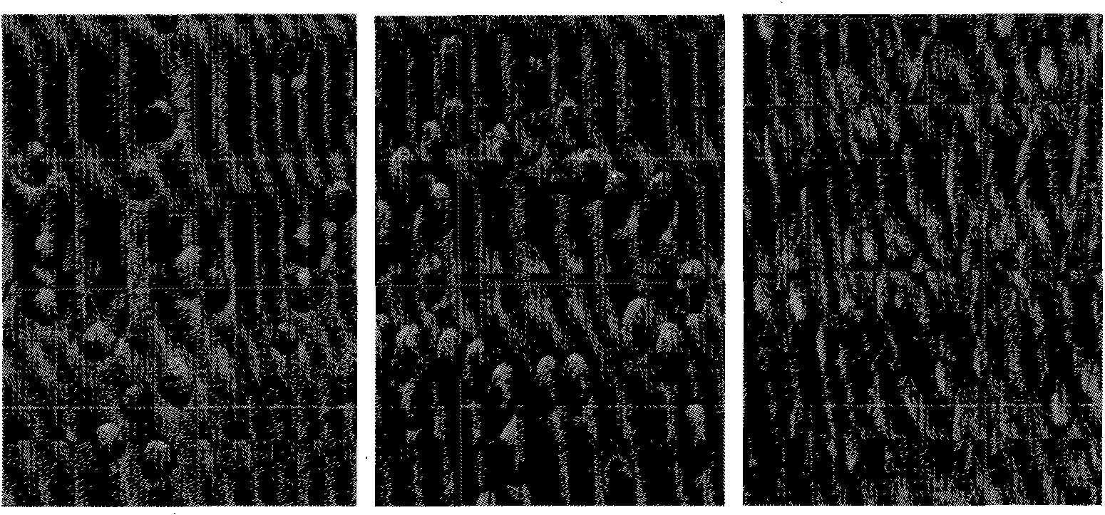 Method for extracting medicament for treating allergic colitis from Alhagi sparsifolia plant and medicament and application thereof