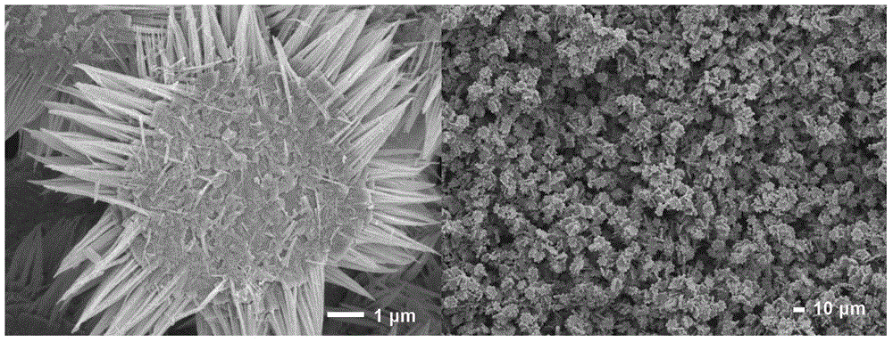 In-situ grown three-dimensional multi-structural cobaltosic oxide/carbon composite micro-nanomaterial and controllable preparation method thereof
