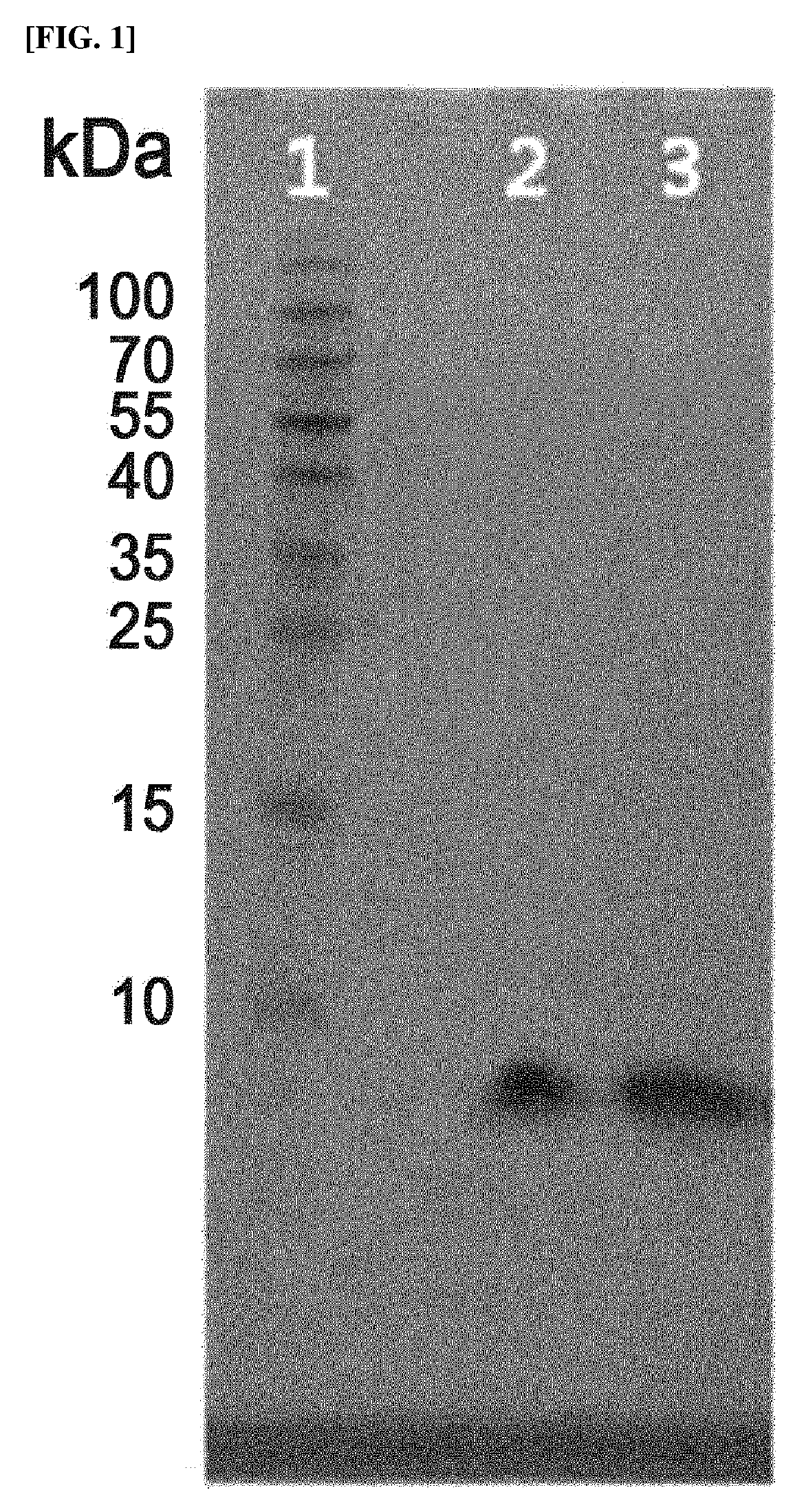 Long-acting insulin and use thereof