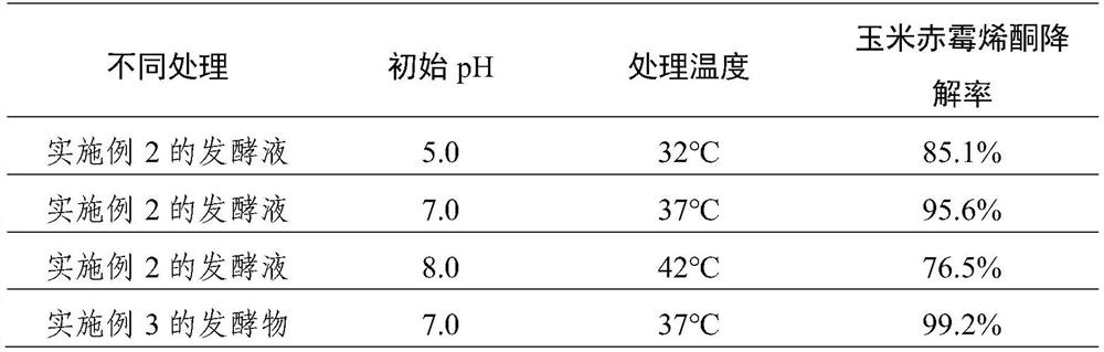 Bacillus subtilis and application thereof in degradation of zearalenone