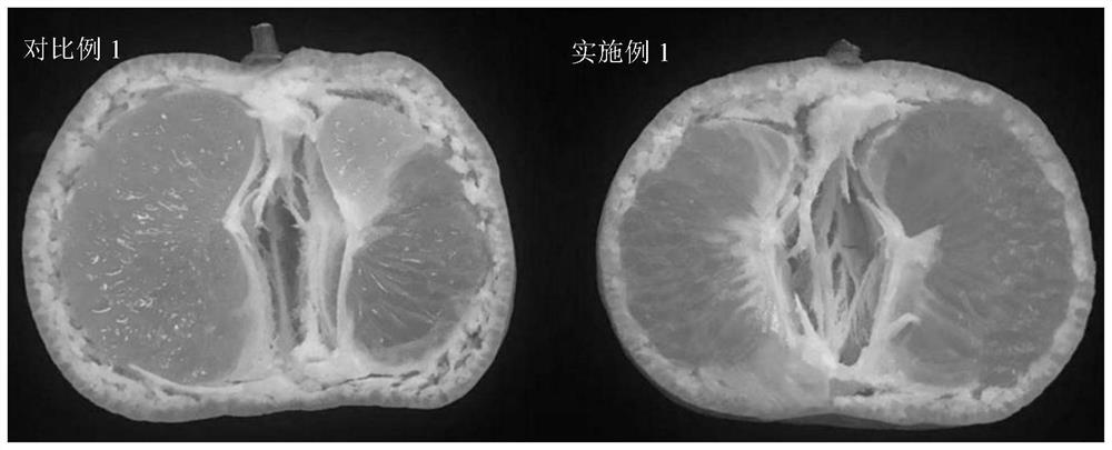 Citrus fruit floating peel inhibitor, application thereof and method for inhibiting citrus fruit floating peel