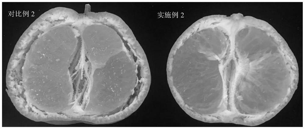 Citrus fruit floating peel inhibitor, application thereof and method for inhibiting citrus fruit floating peel