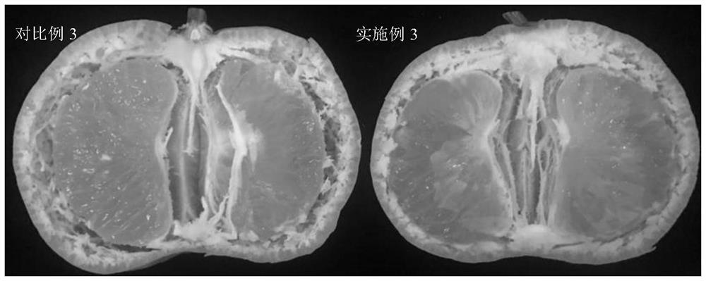 Citrus fruit floating peel inhibitor, application thereof and method for inhibiting citrus fruit floating peel