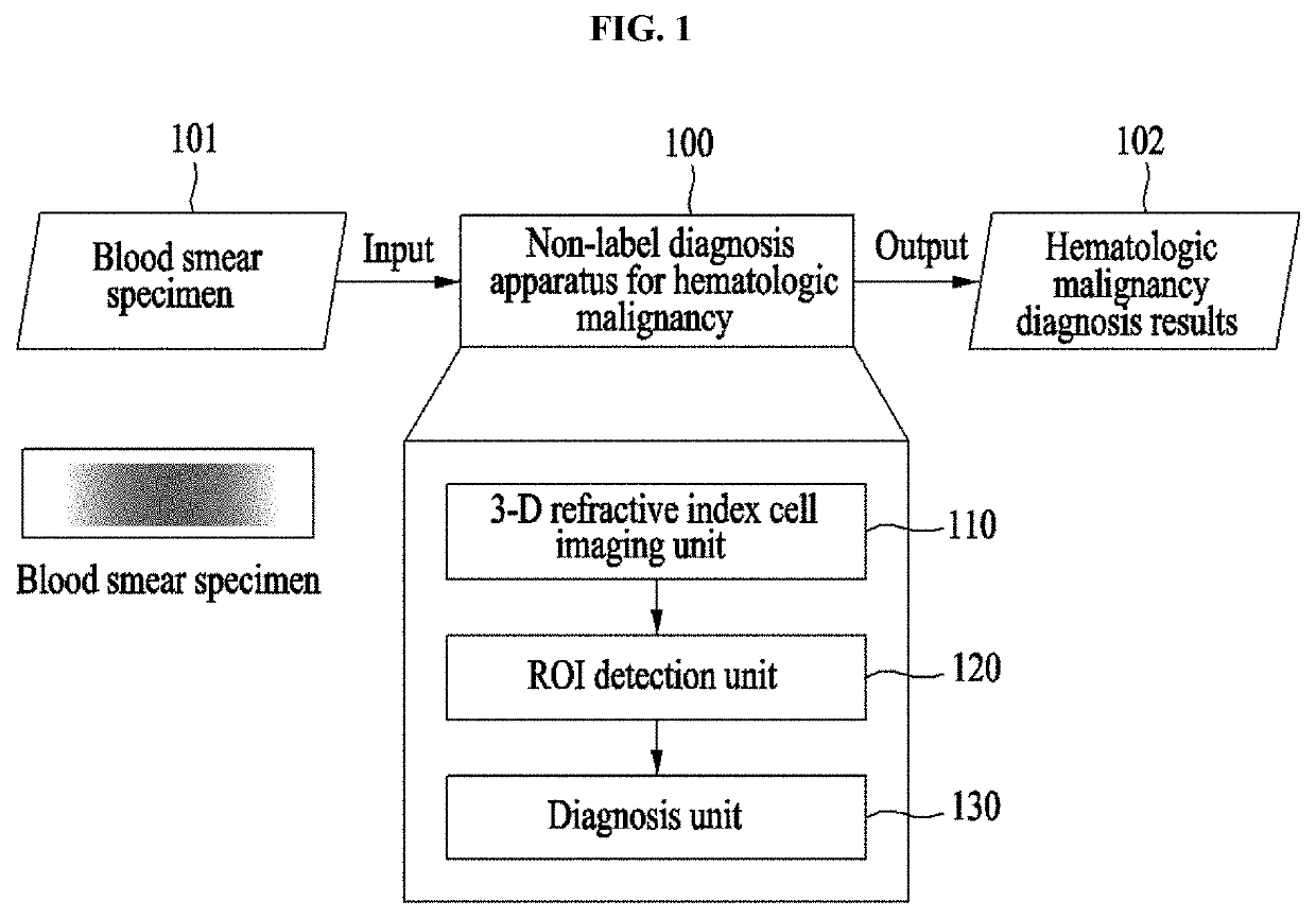 Method and apparatus for rapid diagnosis of hematologic malignancy using 3D quantitative phase imaging and deep learning