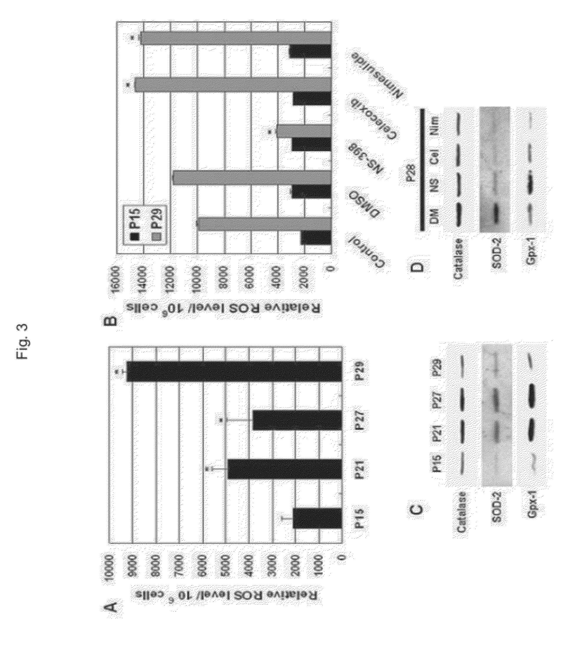 Composition for regulating cellular senescence comprising [n-2-(cyclohexyloxyl)-4-nitrophenyl]-methanesulfonamide