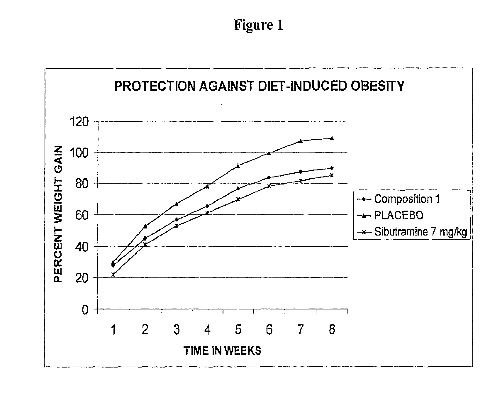 Synergistic phytochemical composition for the treatment of obesity