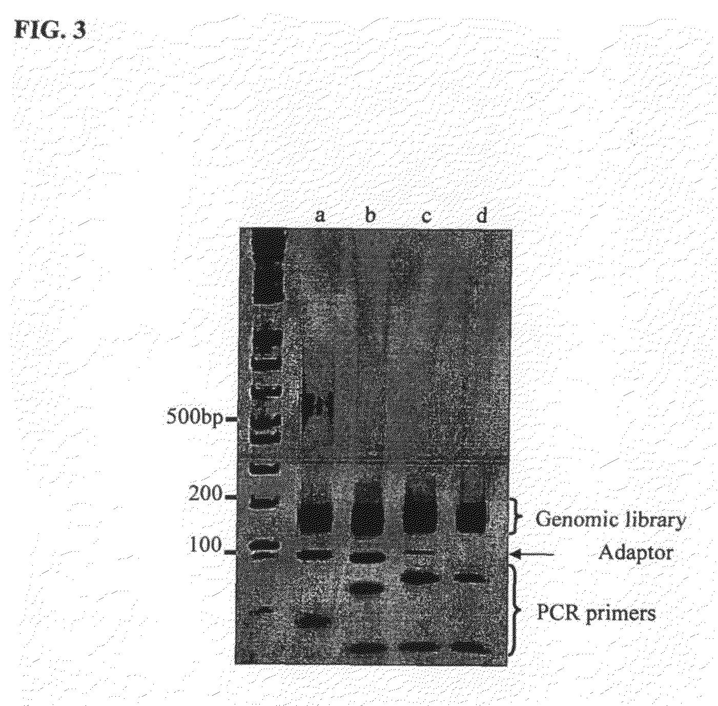 Method of library preparation avoiding the formation of adaptor dimers