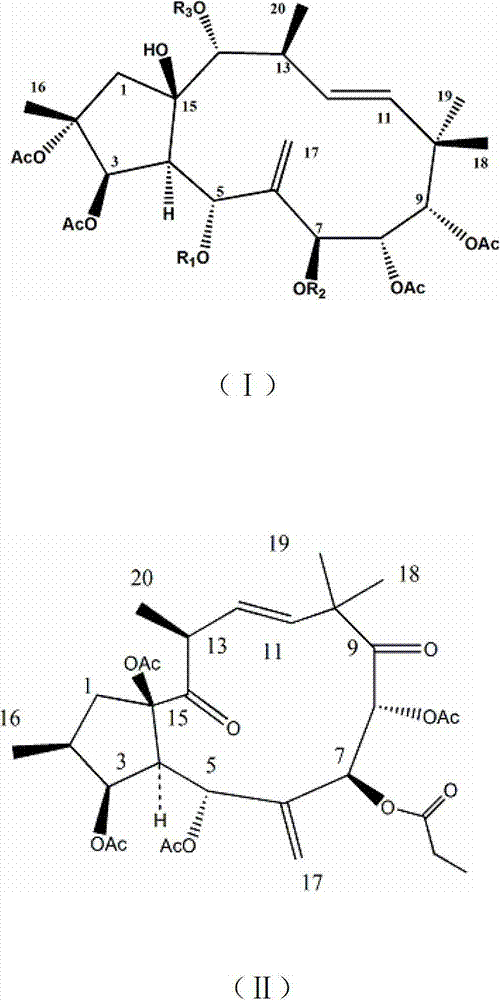 Macrocyclic diterpene compounds in fruits of Euphorbia sororia, and preparation method and use thereof