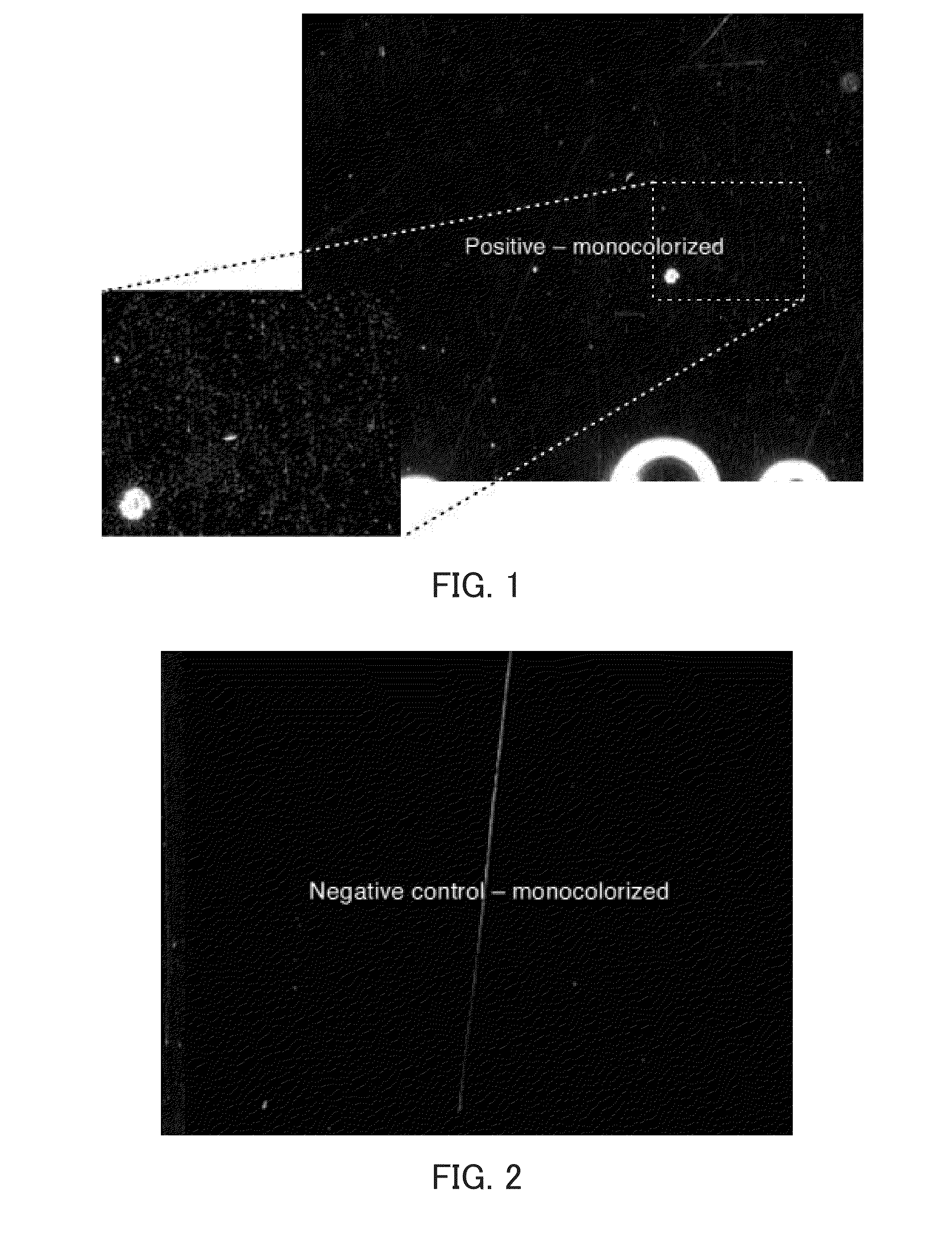 Method for analyzing target nucleic acid, kit, and analyzer