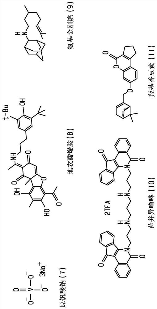 Britianone base derivatives useful as inhibitors of topoisomerase Ib (TOP1) and/or tyrosyl-DNA phosphodiesterase 1 (TDP1)