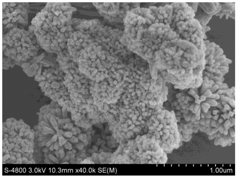 Preparation method for preparing stannic oxide nanorod cluster by using one-step hydrothermal method