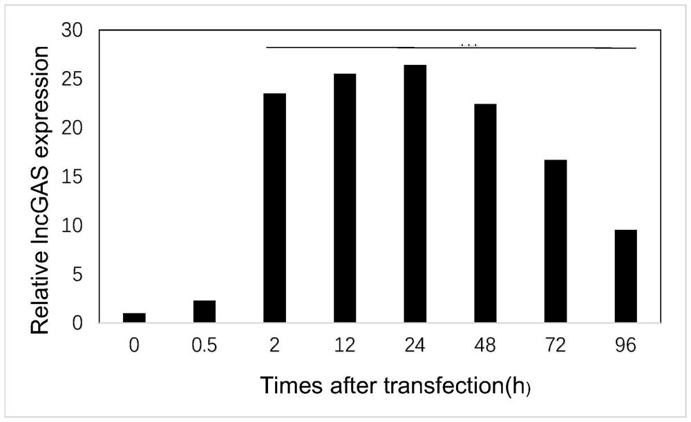 Targeted cell-penetrating peptide for enhancing radiotherapy ...