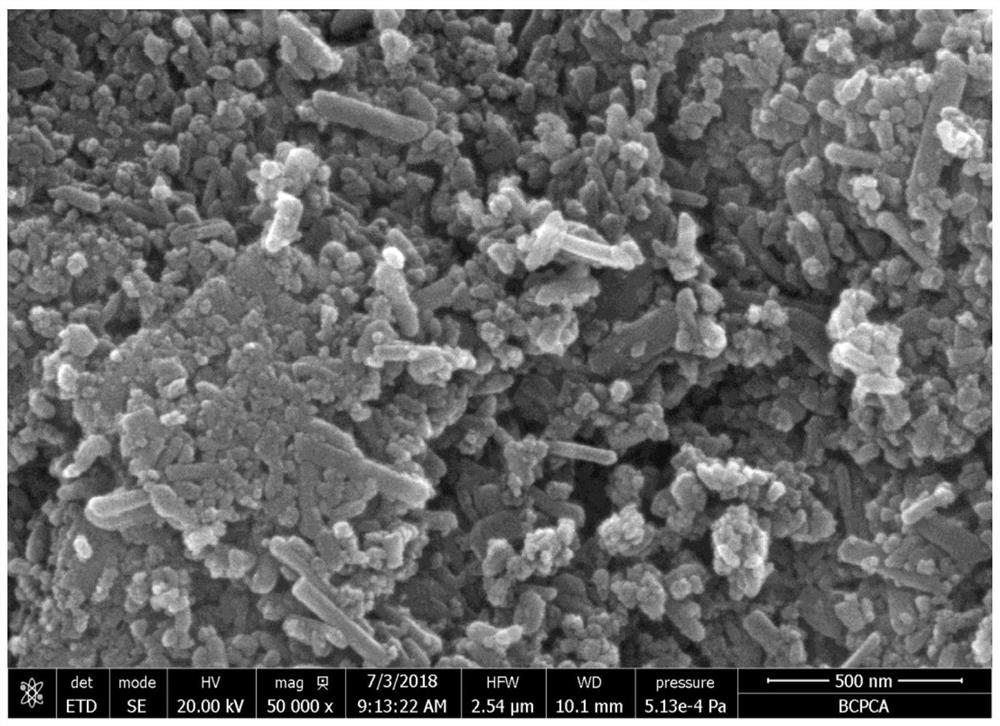 Anatase type titanium dioxide nanocrystalline as well as preparation method and application thereof
